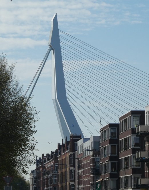 Rotterdam - Erasmusbrücke - 2018